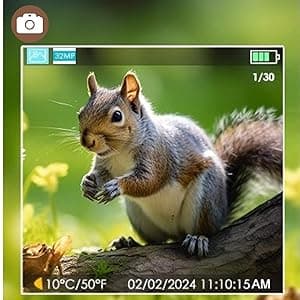 BLAZEVIDEO Game & Trail Camera 32MP Photo & 1296P Video with 100ft Night Vision Motion Activated 0.1s Trigger Speed Waterproof for Home Security, Outdoor Wildlife Scouting