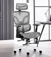 Ergonomic Office Chair, Desk Chair with Adjustable Lumbar Support, Breathable Mesh Comfy Computer Chairs with Flip-up Armrests Executive Task Chair for Adults Home Office(Black)