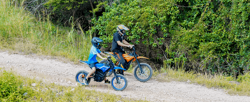 Electric Dirt Bike for Adults Teens, 3000W Brushless 220Nm Motor - 45° Slope, 38 MPH, 48V/23.5Ah Removable Battery, Dual Hydraulic Brakes & Full Suspension Electric Motorcycle for Age 13+