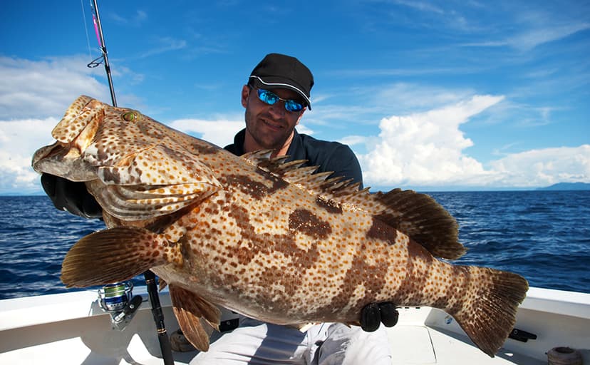 HERCULES Super Tough Braided Fishing Line 4 Strands / 8 Strands, 4lb - 160lb Braid Lines, 150/300/500/1000 Yards for Saltwater