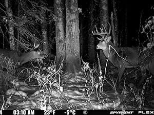 SPYPOINT Flex-S-Dark Ultimate Pack with SD Card + LIT-22 - Solar Cellular Trail Camera – Built-in Solar Panel, 40MP Photos, 1080p Videos + Sound, No-Glow Game Camera, Night Vision, Trail Cam