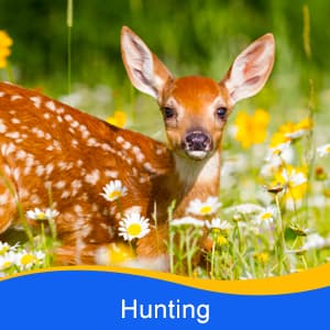 LET'S GO! Binocular for Kids, Compact High Resolution Shockproof Binoculars