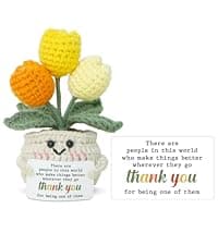OASSIE Thank You Gifts for Women - Mini Handmade Positive Tulip Flowers Crochet with Message Card - Christmas Birthday Farewell Employee Appreciation Gifts for Coworkers, Emotional Support Crochet
