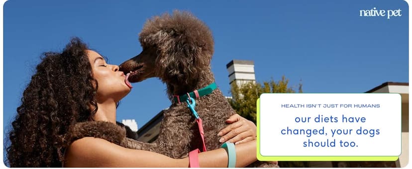 Native Pet Omega 3 Fish Oil for Dogs & Cats - Promotes Healthy Skin, Shiny Coat, & Strong Joints - Made with Wild Alaskan Salmon Oil for Dogs – Tasty, Fast-Absorbing Omega 3 6 9 Liquid Supplement- 8oz