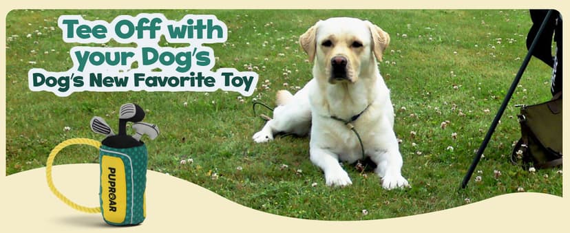 PUPROAR Golf Dog Toy, Dog Birthday Gift, Funny Squeaky Plush Rope Golf Bag Toy for Small, Medium & Large Breeds B0D9PDDT2D