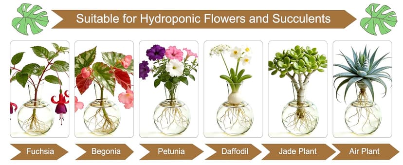 Unique Gardening Birthday Gifts for Women Plants Lovers, Home Office Garden Decor Planter - 3 Bulb Glass Vases Renmxj Plant Propagation Station, Plant Terrarium with Wooden Stand B096VDR4TM