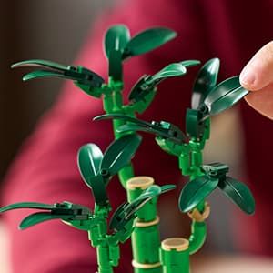 LEGO Botanicals Lucky Bamboo Building Set - Artificial Plant for Indoor Home Décor, Adults Ages 18+ - Fake Plant Decoration for Table, Desk, Office - Gift for Birthdays - 10344