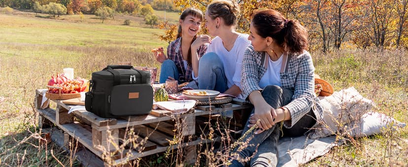 Lifewit Medium Lunch Bag Insulated Lunch Box Soft Cooler Cooling Tote for Adult Men Women, Black 12-Can (9L)