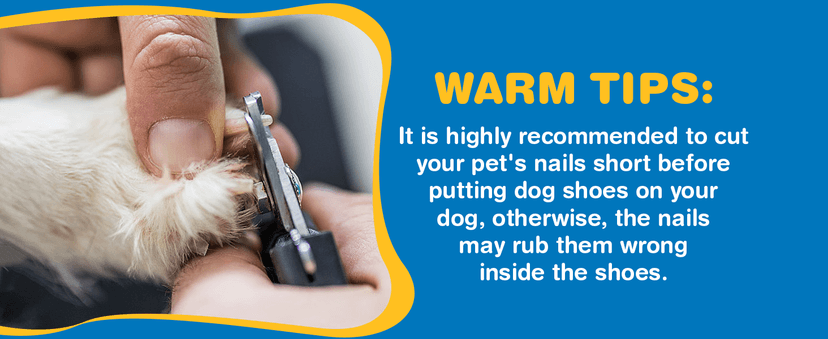 Dog Shoes for Small Dogs, Breathable Dog Boots Paw Protector for Hot Pavement Winter Snow, Dog Booties with Reflective Strips Rugged Anti-Slip Sole for Hardwood Floors Walking Army Green Size 3