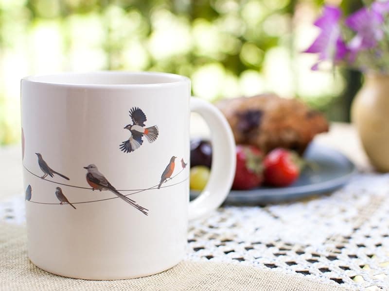 The Unemployed Philosophers Guild Birds on a Wire Heat Changing Mug - Add Coffee and Colorful Birds Appear, Comes in a Fun Box