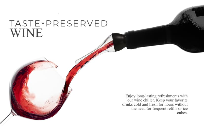 Wine Chiller Set - Perfect Wine Gifts for Women & Men - Stainless Steel Insulated Wine Cooler with Wine Pump, Aerator & 4 Stoppers (Silver)