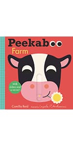 Peekaboo: Pumpkin: (An Interactive Board Book for Babies & Toddlers with Mirror & Sliders to Push, Pull, or Turn. Cute Halloween Artwork Includes a Bat, Black Cat, Witch, & More.) (Peekaboo You) 1536229814