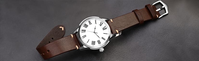 BISONSTRAP Men's Watch Bands, Hand-Stitched Leather Watch Straps, Quick Release, 18mm 19mm 20mm 21mm 22mm