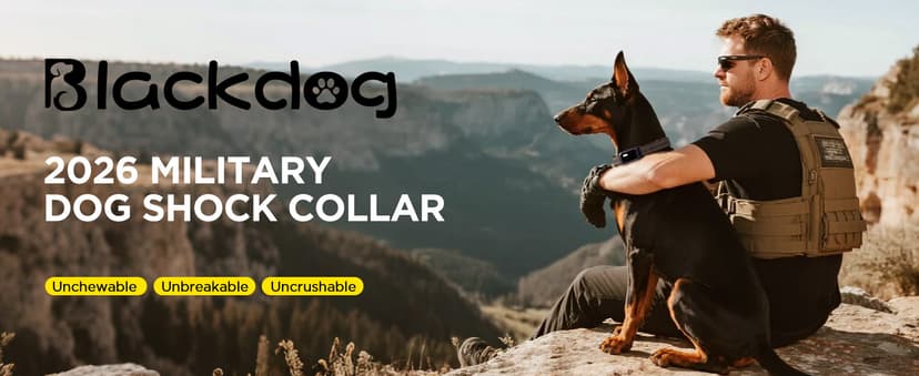BLACKDOG Military Dog Shock Collar - 4200ft Dog Training Collar with Remote, 4 Training Modes, Flashlight & Strobe, 3-Month Battery, IP67 Waterproof Dog E Collar for All Breeds 5-150lbs (Dark Blue)