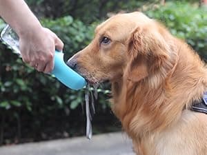 Feeding & Hydration | Travel Water Bowl | Portable Pet Dispenser | Dog Gifts | Puppy Essentials | for Hiking Camping Beach Cibaabo Dog Water Bottle Portable with Food Container & Filter for Travel B09F5ZYV7M