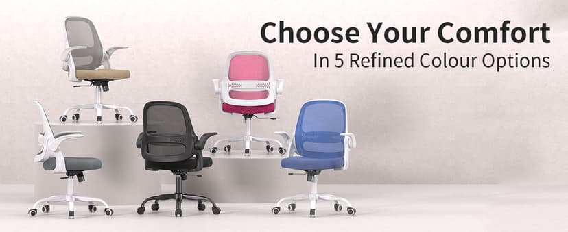 Ergonomic Mesh Office Chair with Flip-Up Arms, Adjustable Height, Breathable Mesh Back & Thick Cushion Seat, 360° Swivel Rolling Computer Desk Chair, BIFMA Certified, Supports 300 lbs (Black)