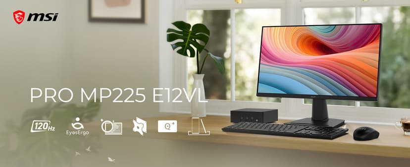 msi PRO MP225 E12VL, 22-inch IPS 1920 x 1080 (FHD) Computer Monitor, 120Hz, Adaptive-Sync, HDMI, Video Port, VESA Mountable, Tilt, 1ms, Black