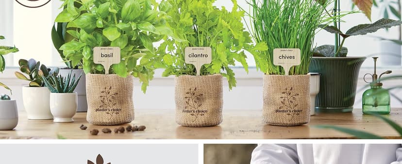 Planters' Choice 9 Herb Indoor Window Garden Kit - House Plants Seeds - Best Unique Gift Ideas for Women, Mom, Friend, Her, Birthday, Housewarming, Mother - New Home Kitchen Gifts - Live Plant Starter