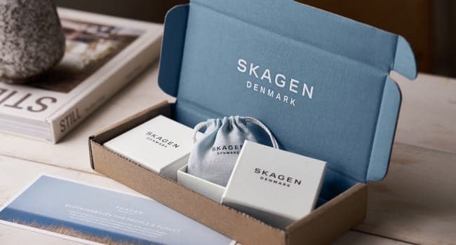 Skagen Holst Men's Watch with Stainless Steel Mesh or Leather Band