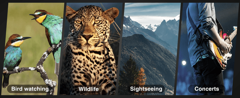 Sogries 10x50 Binoculars for Adults High Powered Waterproof Compact Binoculars for Bird Watching Travel Low Light Vision Hunting Stargazing Concert Sports Long Range Birding Binocular Gift for Him