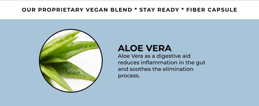 Pure for Men Pure for Men Original Vegan Cleanliness Stay Ready Fiber Supplement | Helps Promote Digestive Regularity | Psyllium Husk, Aloe Vera, Chia Seeds, Flaxseeds | Proprietary Formula | 120 Vegan Capsules