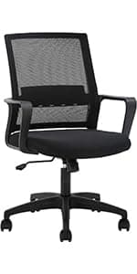 PayLessHere Home Office Chair Desk Computer Chair Adjustable Ergonomic Lumbar Support Armrest Executive with High Density Mesh 360 Degree Swivel Chair for Men Women Adults, Black