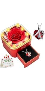 Preserved Red Real Rose with Heart I Love You Necklace -Eternal Flowers Rose Birthday Gifts for Women Her Mom Wife Girlfriend Grandma on Valentines Mothers Day Christmas Anniversary Romantic-Red