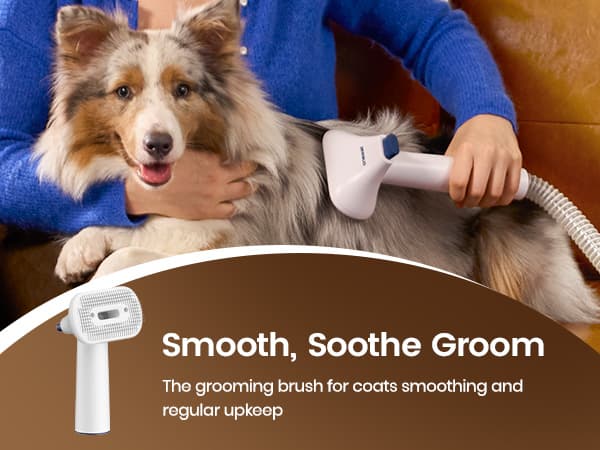 oneisall Dog Grooming Vacuum, 15000Pa Pet Vacuum Kit Shedding 99% Pet Hair, Dog Grooming Clippers with Trimmer Nail Grinder, ≤ 59dB Quiet Brush with 6 Tools, 2L Canister for Home Cleaning,Cozy SE 2
