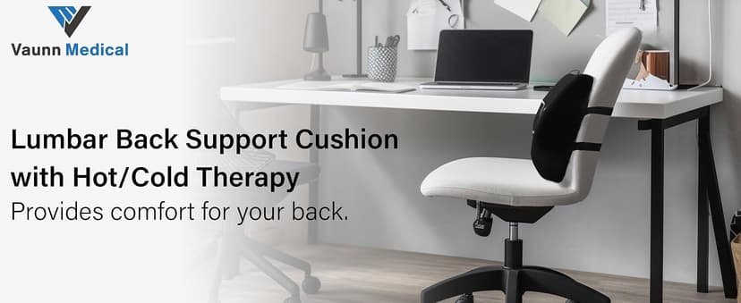 Vaunn Medical Seat Cushion, Lumbar Back Support Pillow for Office Chair with Removable Firm Insert