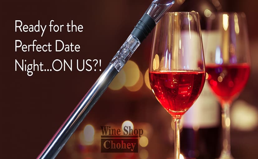 Wine Chiller - Wine Cooler Stick, 3 in 1 Stainless Steel Wine Bottle Chiller with Aerator and Pourer, The Best Holiday Gifts.