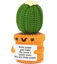 Funny Retirement Gift for Woman Men, Coworker Farewell Leaving Going Away Goodbye Gift for Women Coworker Boss Friend Teacher, Moving Away Off to College, Crochet Abandonment Cactus Decroration Card