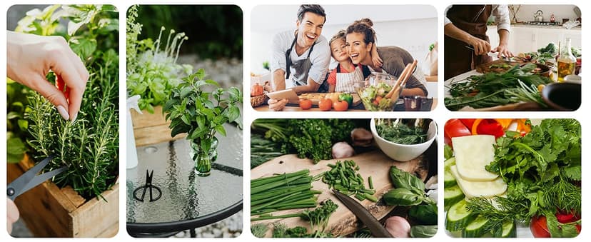 Christmas Gifts for Mom, Women, Her - 9 Herb Indoor Garden Starter Kit with Pots, Soil & Tools - Unique Birthday Gifts for Women, Housewarming Present for Wife - Grow Kitchen Windowsill Herbs