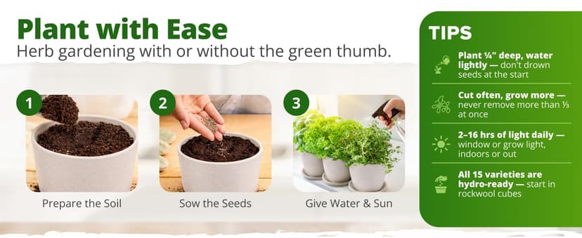 15 Culinary Herb Seeds - Heirloom & Non GMO - High Germination Rate - Seeds for Planting Indoor Hydroponic or Outdoor Herbs Garden | Gardening Gift Men Women Gardeners - Basil, Cilantro, Mint B07JCFWJ98