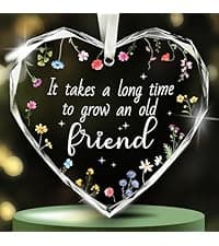 NewEleven Neighbor Gift - Thank You Gifts, Gifts for Neighbors and Friends, Men, Women - Cute Neighbor Ornament for Friend, Neighborhood - Christmas Ornament