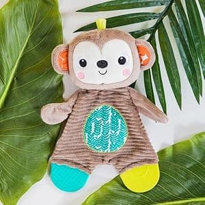 Bright Starts Snuggle & Teethe BPA-Free Crinkle Teething Plush Baby Toy - Giraffe