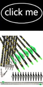 Compound Bow Kit, Hunting and Target, Limb Made in USA,Draw Weight 30-70 lbs Adjustable, Draw Length 19-30.5",up to IBO 320FPS Speed, Package with Archery Hunting Accessories