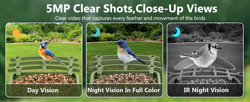 Smart Bird Feeder with Camera Solar Powered, AI Birds Species Identification, 2.5K HD Video Bird House with Camera for Outside, Weatherproof Design Ideal Gifts for Christmas, Bird Lovers, Green