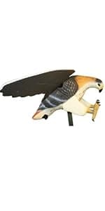 MOJO Outdoors Coot Confidence Decoys for Duck Hunting, Increases Realism and Entices Ducks to Land, Pack of 6