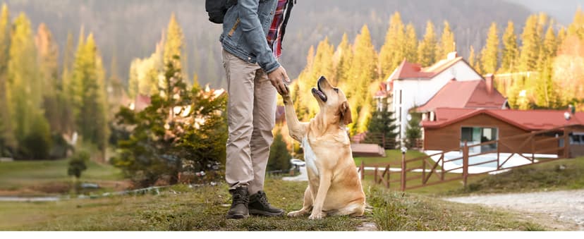 NORTIV 8 Men's Hiking Boots Lightweight Fashion Casual Chukka Ankle Boots Elevation