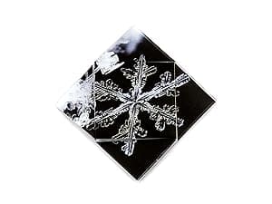 FOLDOLOGY - The Origami Puzzle Game! Brain Teasers for Tweens, Teens & Adults | Travel Game, Hands-On STEM Toy, Stocking Stuffer, Gift for Ages 10+ | Fold the Paper, Complete the Picture | 100 Puzzles