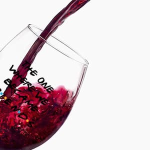 Perfectinsoy You're My Person Funny Stemless Wine Glass, Best Friend Wine Glass for Women, Perfect Birthday, Wedding, Christmas, Mother's Day Gift for Women Friend