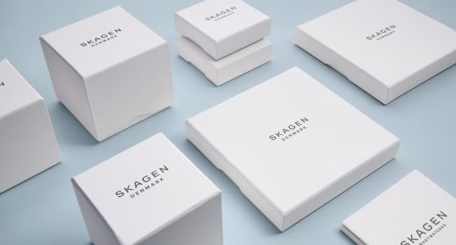 Skagen Signatur Lille Minimalist Watch for Women