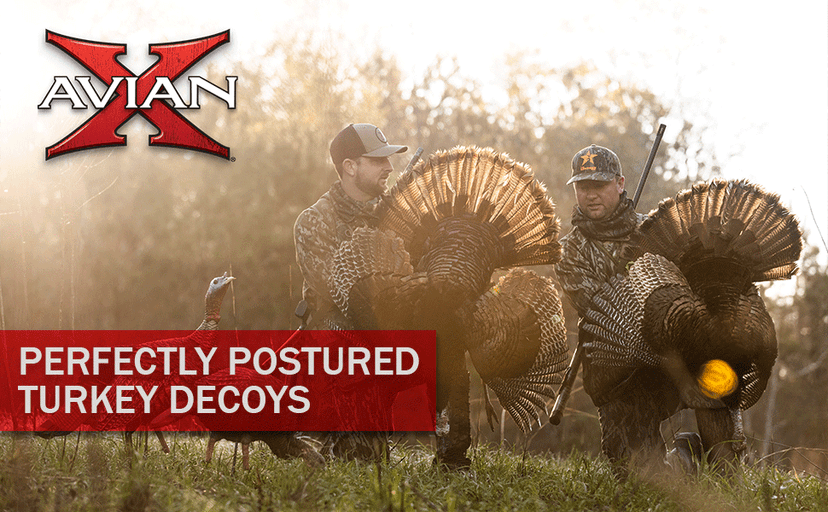 Avian-X Power Butt Kicker Motion Decoy