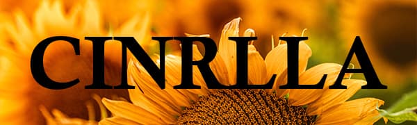 Thank You Gifts for Women Men, Appreciation Gifts for Friends, Birthday Retirement Gifts for Mom Family, Thank You for Being A Blessing in My Life Home Office Desk Décor Sign, DSF135