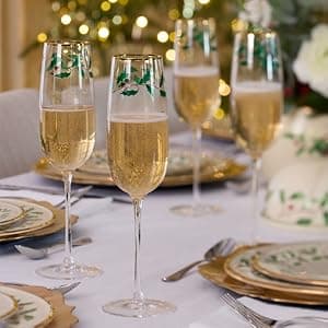 Lenox 870006 Hosting The Holidays Wine Coaster & Stopper Set, Christmas Theme