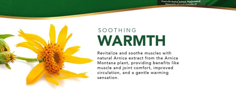 Cosmetasa Sore Muscle Massage Oil for Massage Therapy with Roller - All Natural, Cruelty-Free Massage Oils for Muscle Relaxing & Joint Comfort - Arnica Extract with Lavender & Chamomile Oil (8.8 oz)