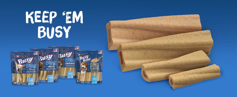 Purina Busy Bone Adult Dog Chew Bone Treats, Peanut Butter - 10 ct. Pouch