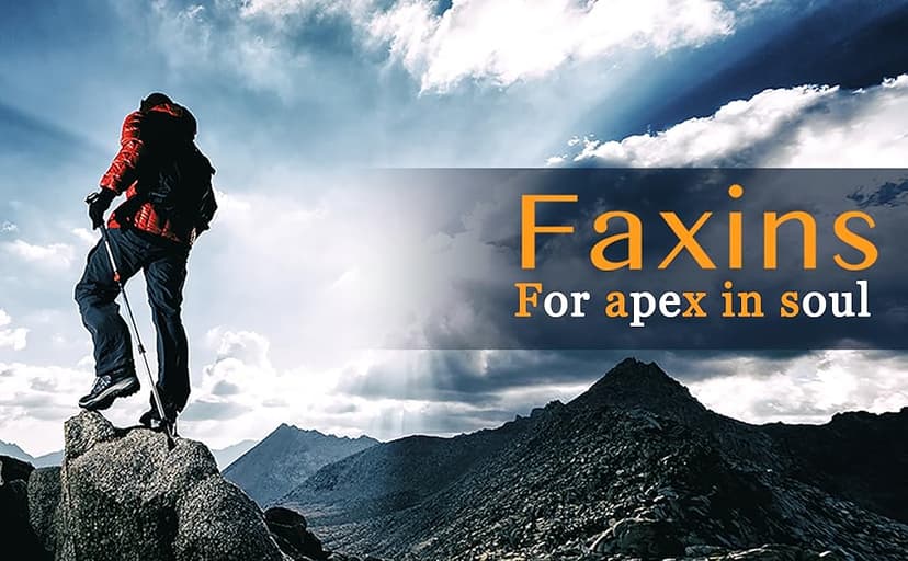 Clip on Flashlight, Running Lights for Runners Dog Light for Dog Walking at Night Rechargeable Safety Portable EDC Flashlight Gift for Runners Hands Free LED Work Light Flashing Camping Hiking Gear