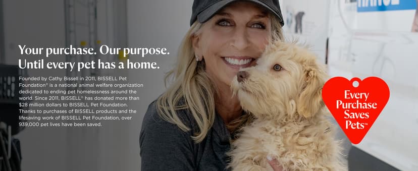 Bissell PowerClean 200W Self-Standing Cordless Vacuum w/Tangle Free Brush Roll, Removeable Battery, Wall Mount, Upholstery Tool & Bright Headlights, 4173