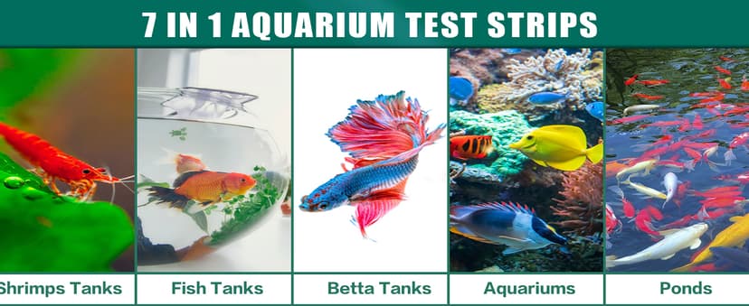 7 Way Aquarium Test Strips, 125 Count Fish Tank Test Strips for Freshwater Saltwater Pond, Water Testing Kit Aquarium for Chlorine, Total Hardness, Carbonate, Alkalinity, Nitrate, Nitrite and pH